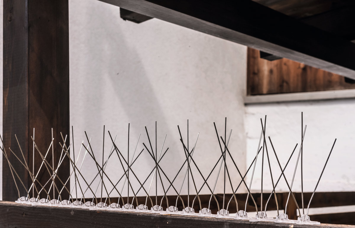 Esca Vento Per Piccioni Esca Per Piccioni A Vento Con Ali Mobili - Decoy Da Caccia O Decorazione Giardino | Richiamo Realistico Caccia Piccioni