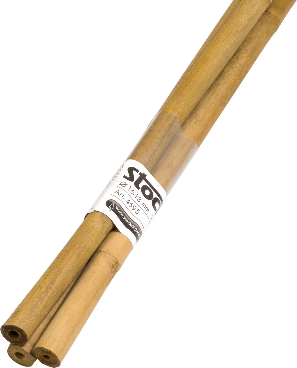 Bamboo planting sticks 240 cm Stocker Garden
