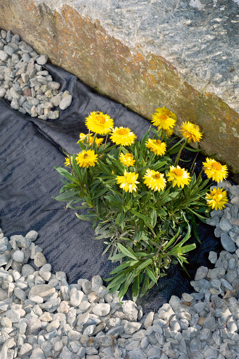 PP mulch foil 1 x 10 m Stocker Garden