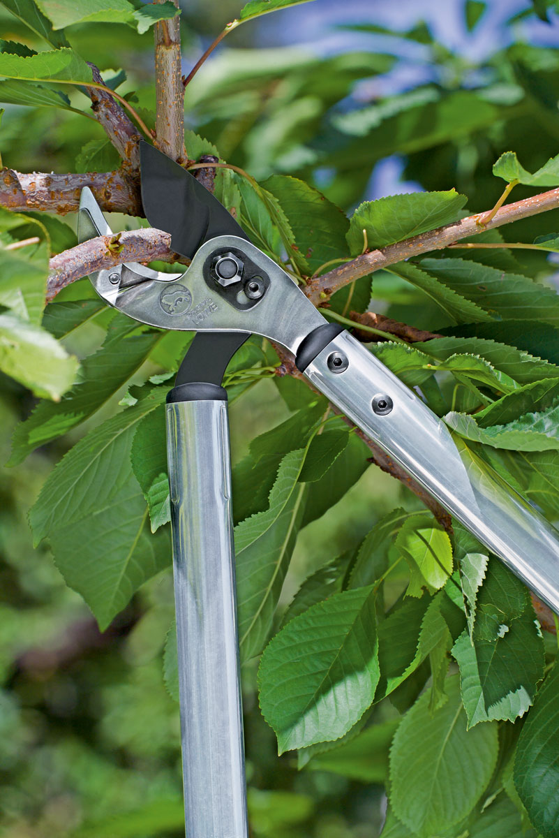 LÖWE Anvil lopper Profi Stocker Garden