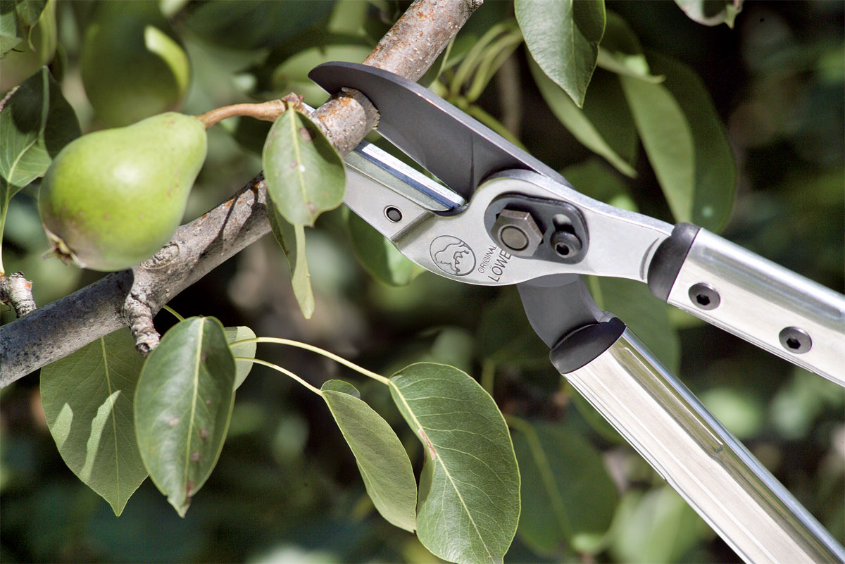 LÖWE Anvil lopper Profi Stocker Garden
