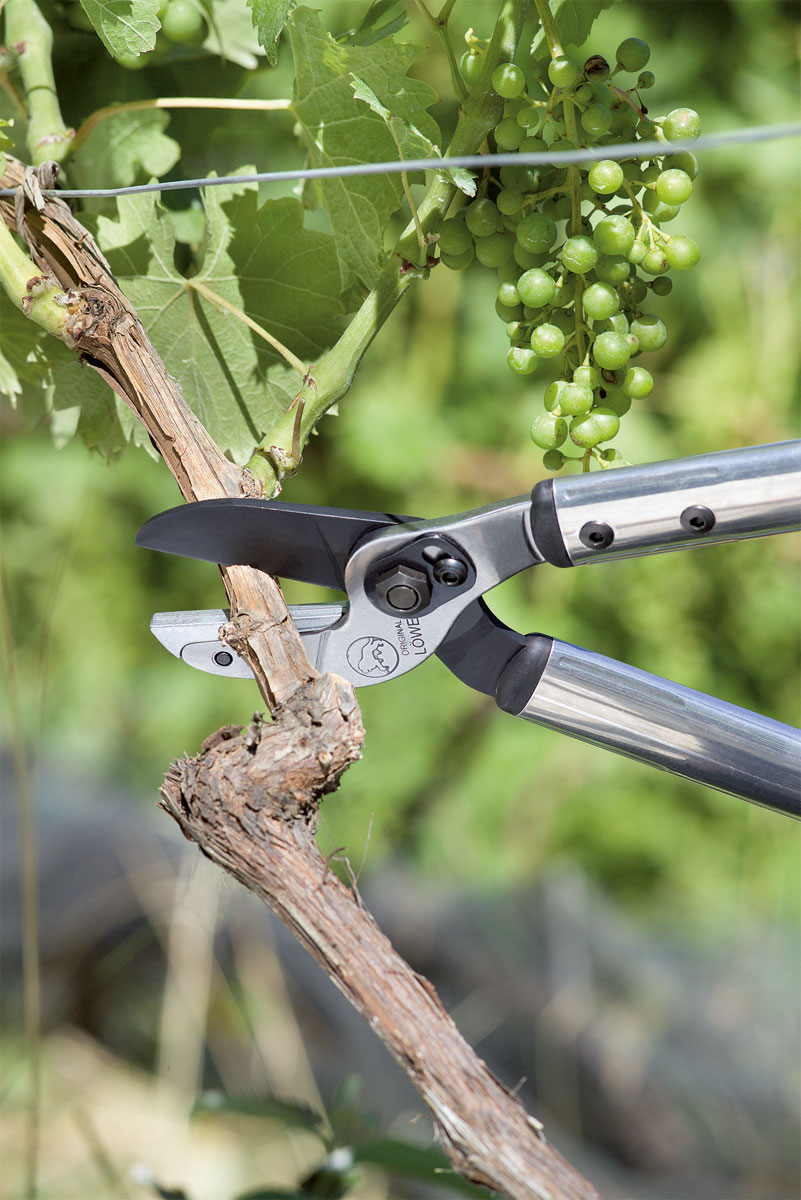 LÖWE Anvil lopper Profi Stocker Garden