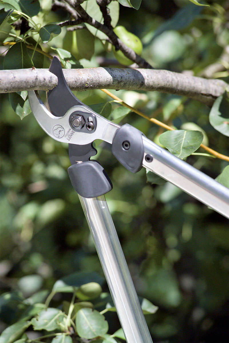 LÖWE Bypass lopper Stocker Garden