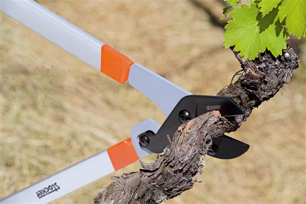 Anvil lopper Profi 72 Stocker Garden