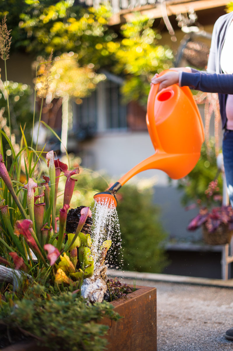 Orange watering can 2,5 L Stocker Garden