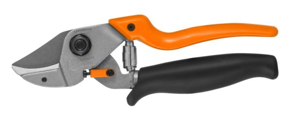 Basi fisiologiche della potatura: carico di mele eccessivo