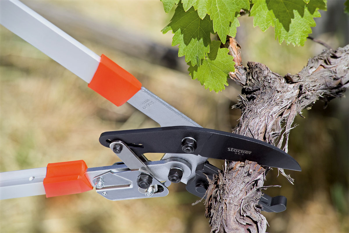 Troncarami Telescopico A Cricchetto Stocker - Lunghezza 75-105 Cm, Taglia Rami Fino A 5 Cm