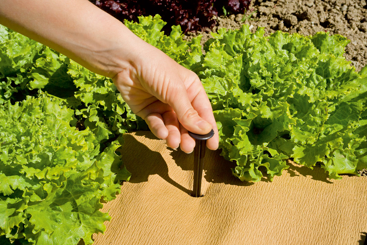 Plastic ground stakes 20 cm Stocker Garden