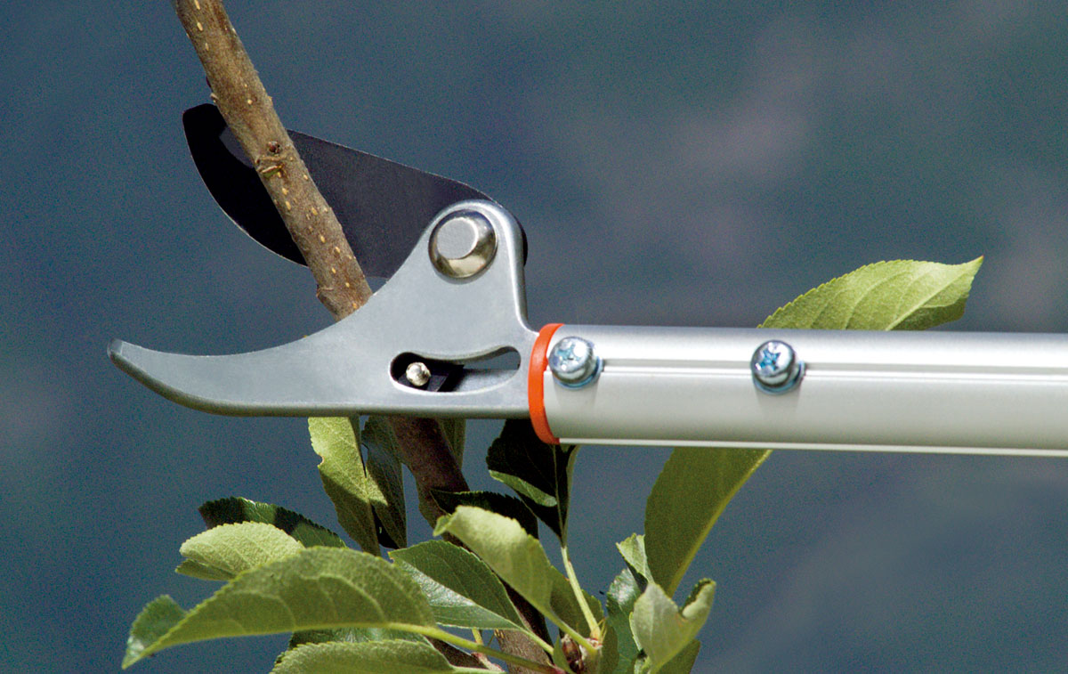 Long handled pruning shears Bypass 120 Stocker Garden