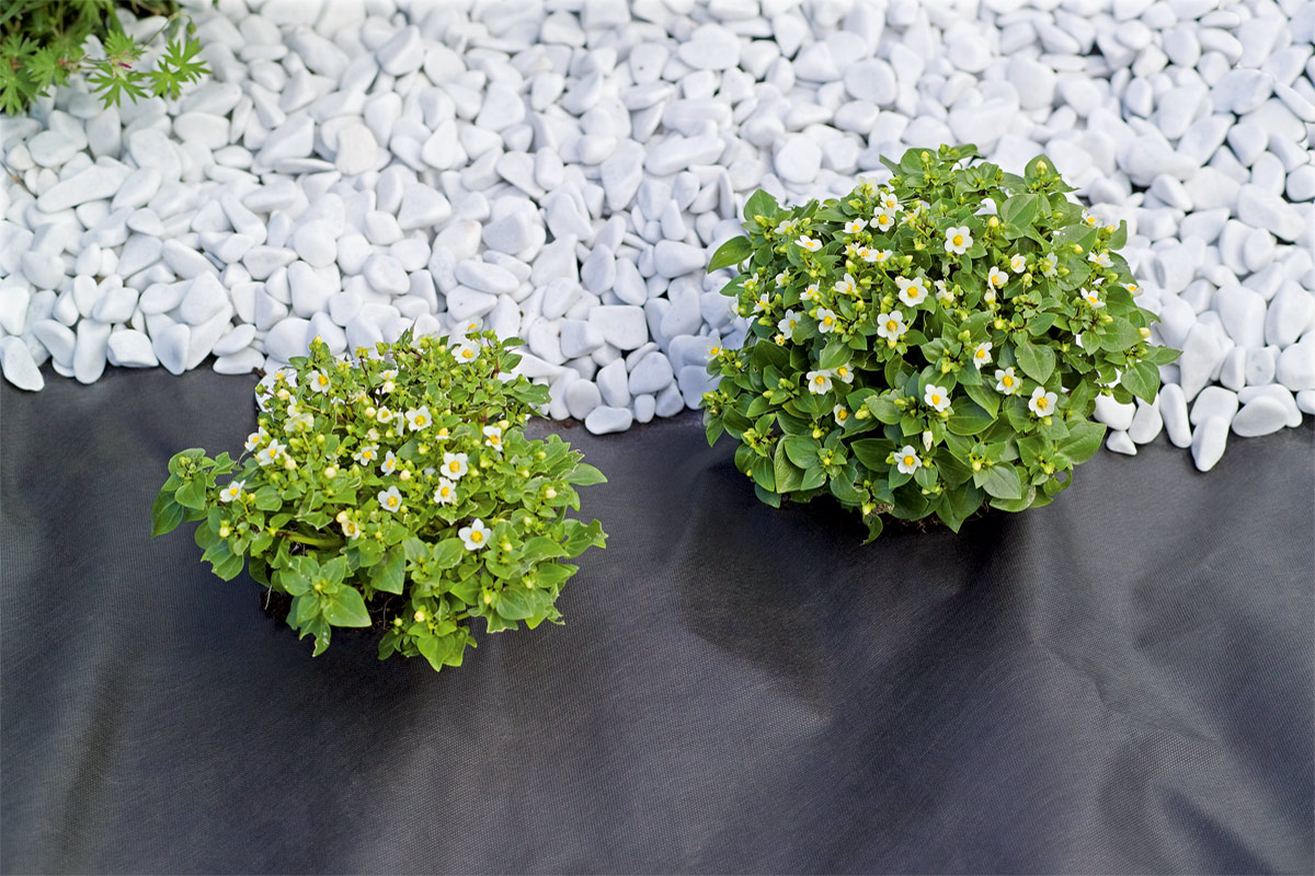 Protex mulch foil 0,8 x 5 m Stocker Garden