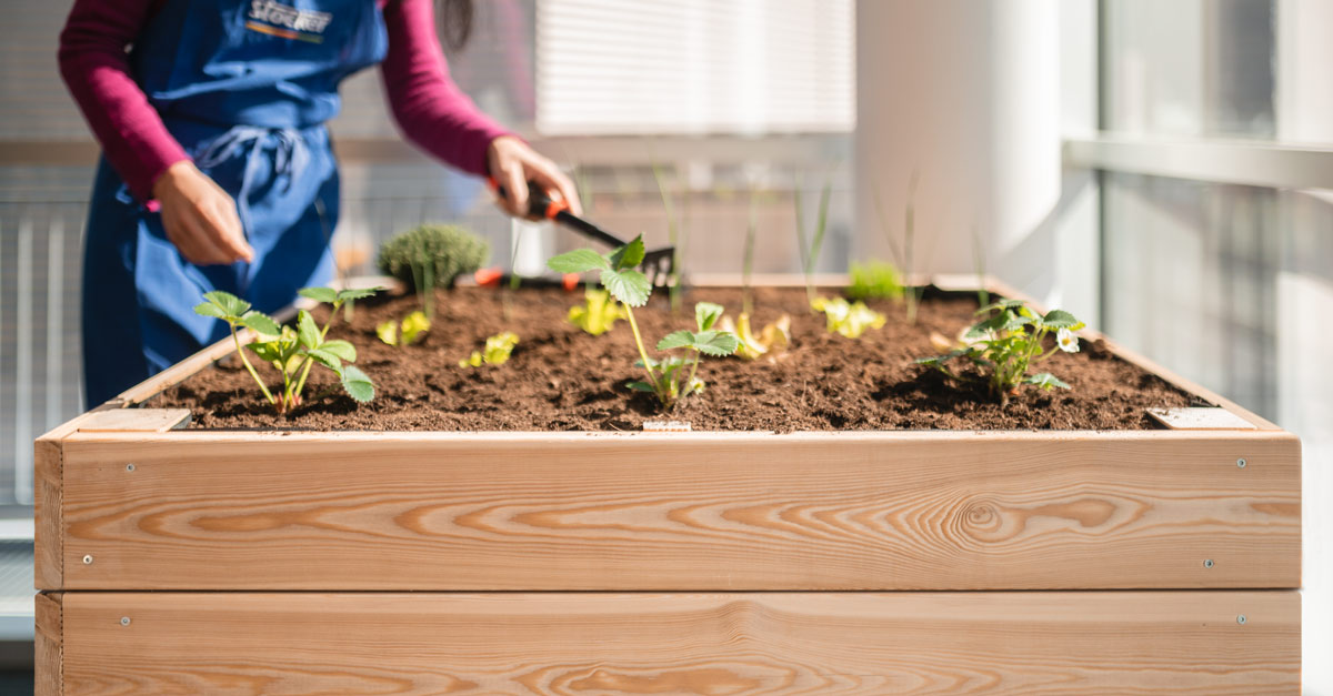 Elevego Box for raised vegetable garden 1 m² - Stocker Garden