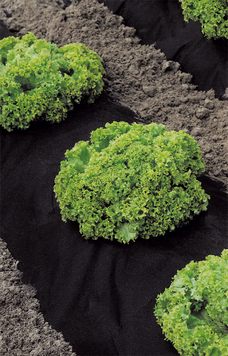 Protex mulch foil 2 x 10 m Stocker Garden