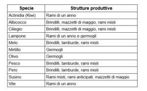 strutture produttive