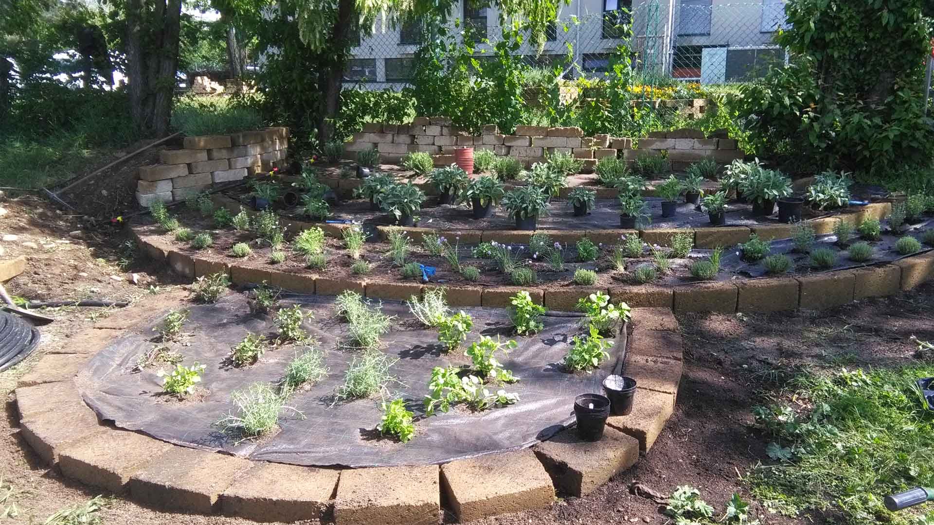 Progettare un orto con erbe aromatiche