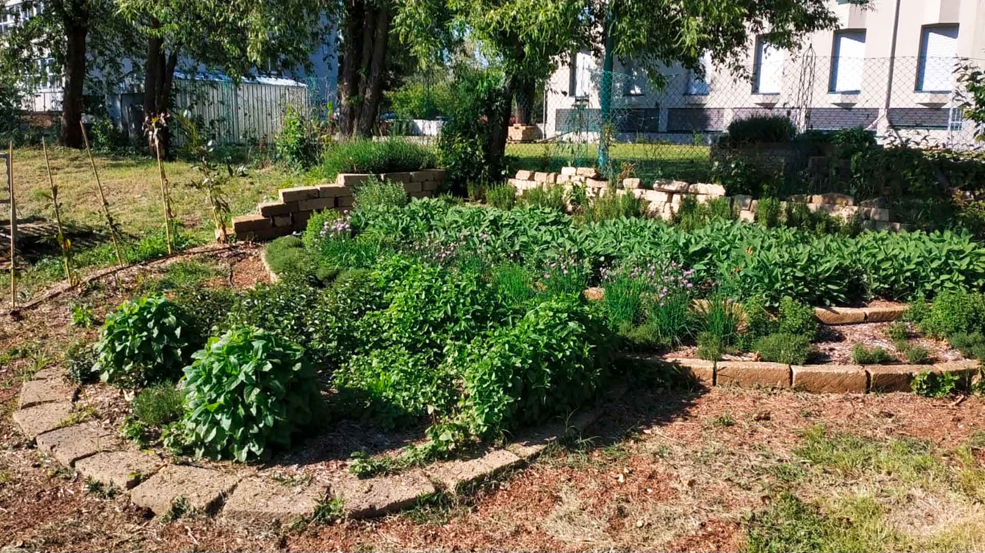 Progettare un orto con erbe aromatiche - Stocker Garden