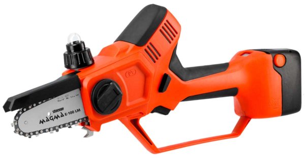 Foto: kiwi su actinidia