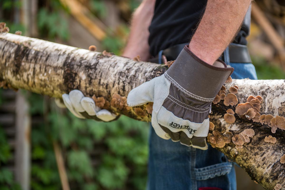 Guantes anticorte para tijeras 8/S - Stocker Garden