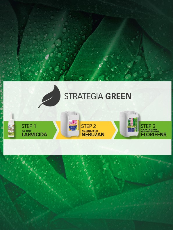 STRATEGIA GREEN