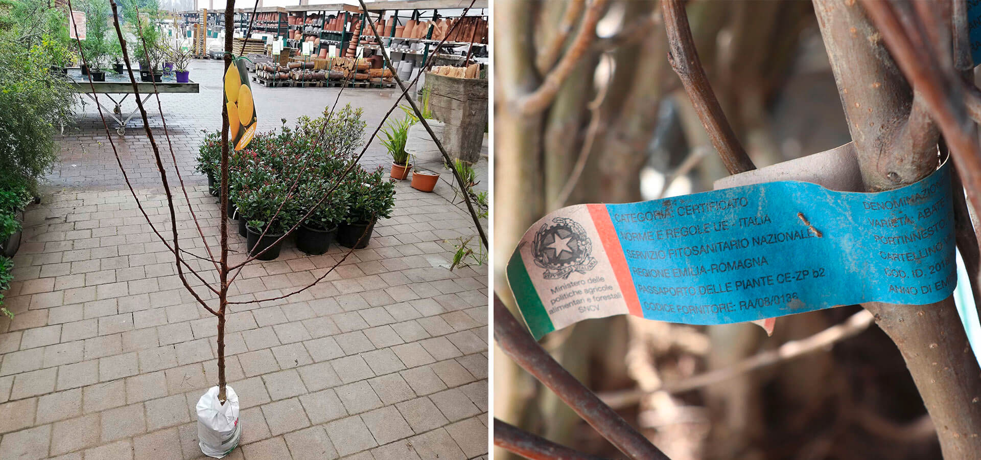 Materiale Drenante Giardinaggio Argilla Espansa VIRSUS 10L | Per Drenaggio E Decorazione Vasi | Riduce Evaporazione Acqua Substrato Per Idrocoltura