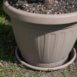 sottovaso con acqua stagna