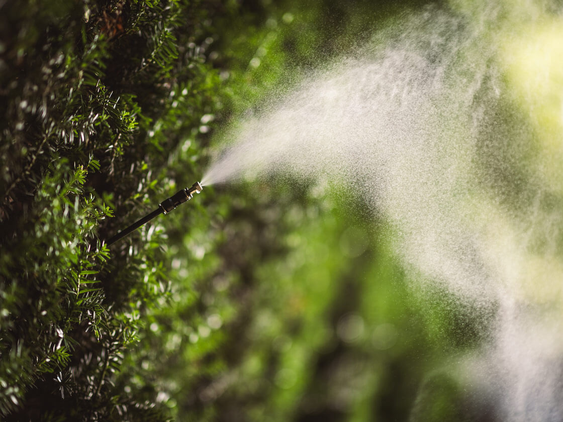 geyser nebulizzazione ultrafine